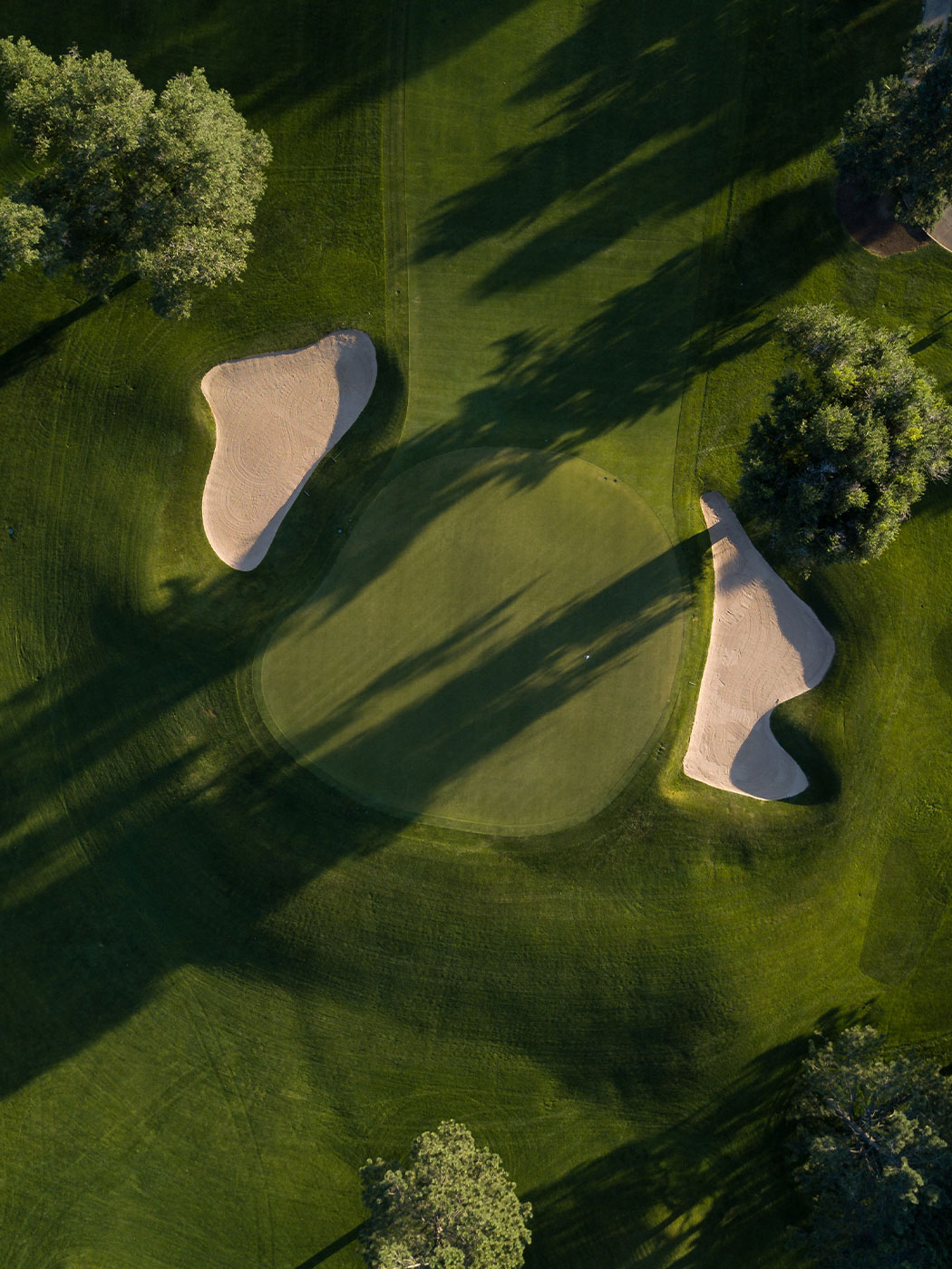 rmf-slider-3-1050x1400